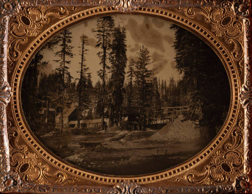 image overall