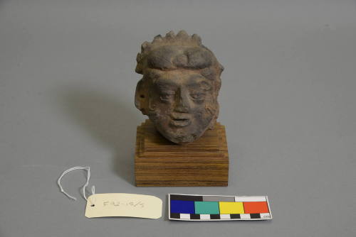 Head of a Woman