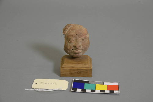 Head