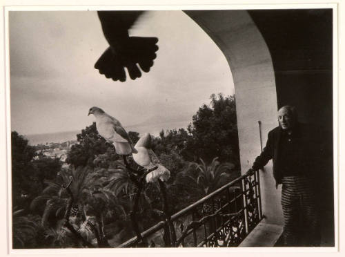 Picasso on Third Floor Balcony at La Californie, Where Pigeons Live