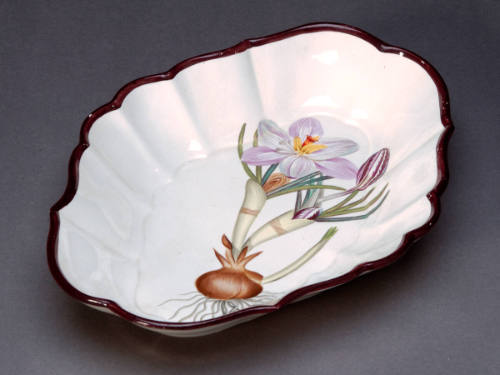 Dish