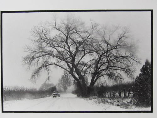 Near Alcalde, New Mexico