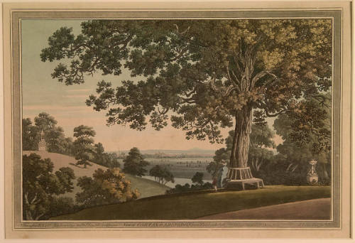 View of Carfax and Abingdon from Whiteheads Oak