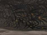 recto detail