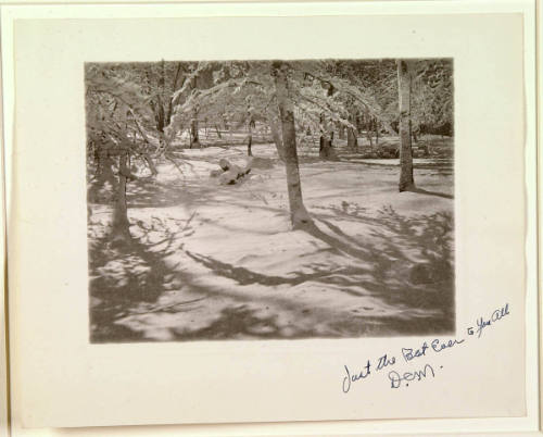 Untitled (Snow Scene)