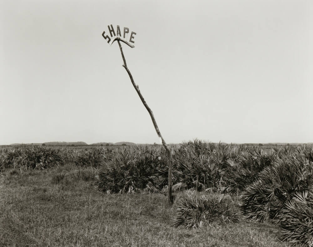 "Shape" Sign, The Cypress Knee Museum. US 27, Palmdale, Florida