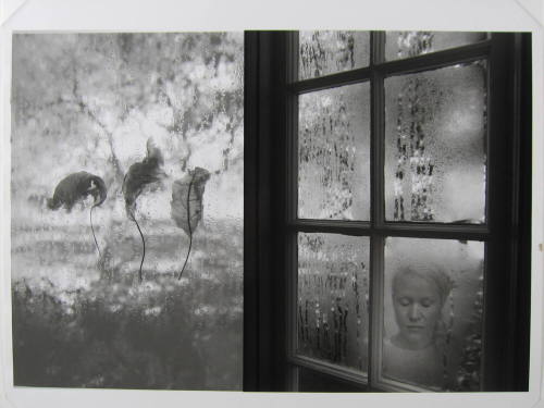 Untitled (Windows)