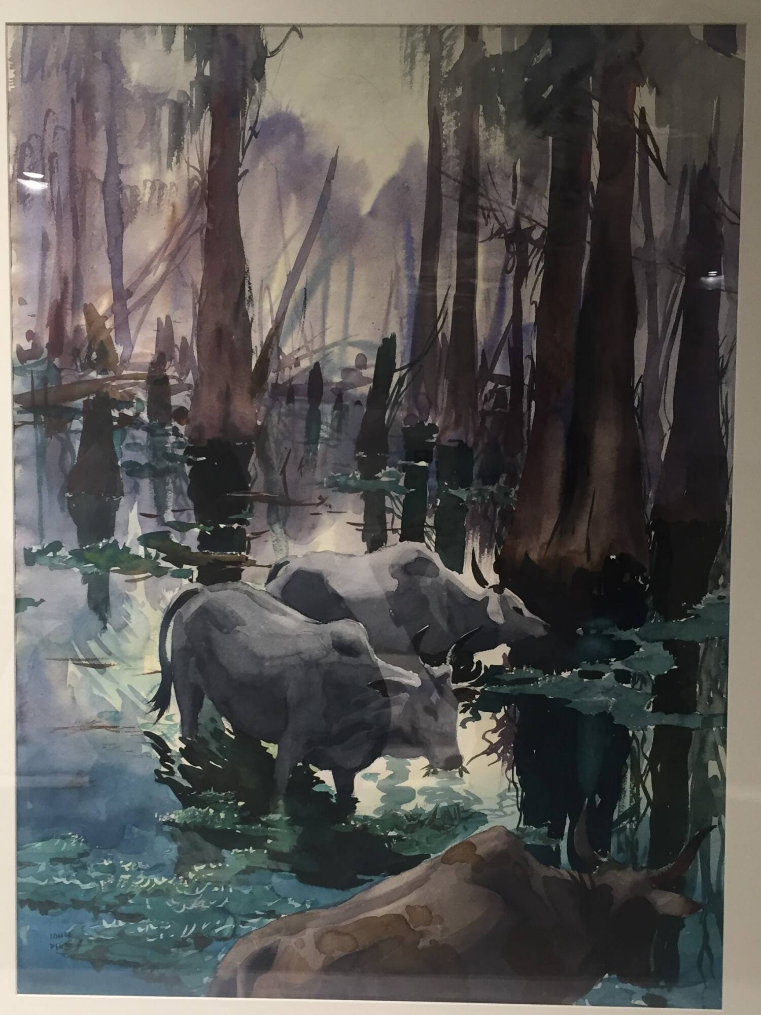 Swamp Grazing