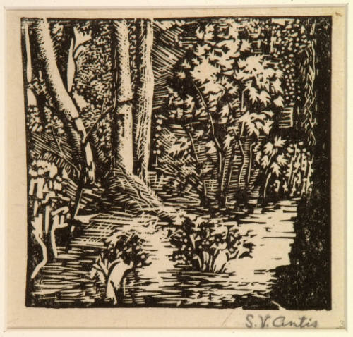 Woodland