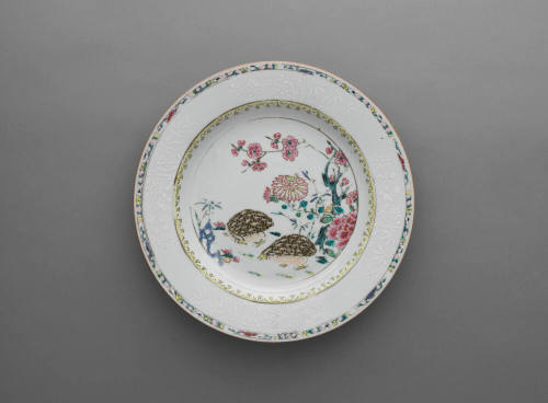 Dish