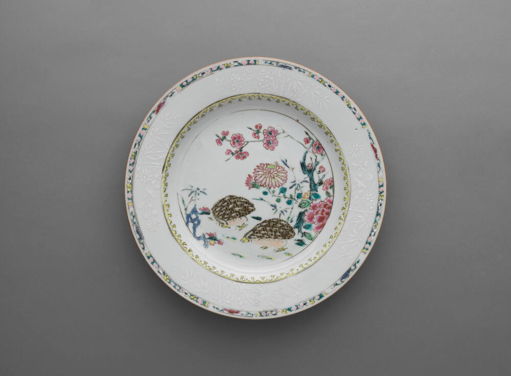 Dish