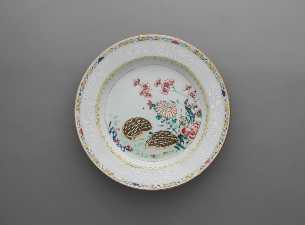 Dish