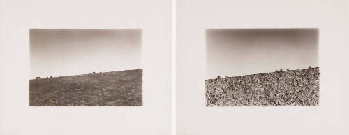 Landscape/Loftscape #16