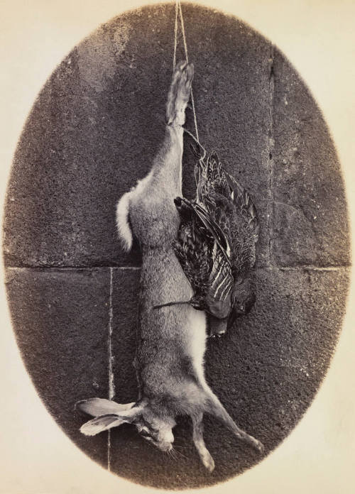 Still life with birds and a hare