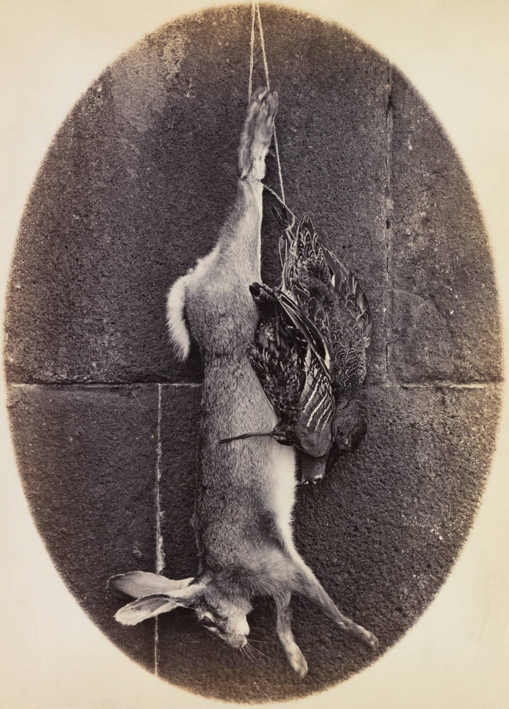 Still life with birds and a hare