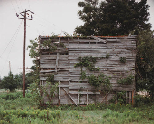 South End of Palmist Building, Havana Junction, Alabama