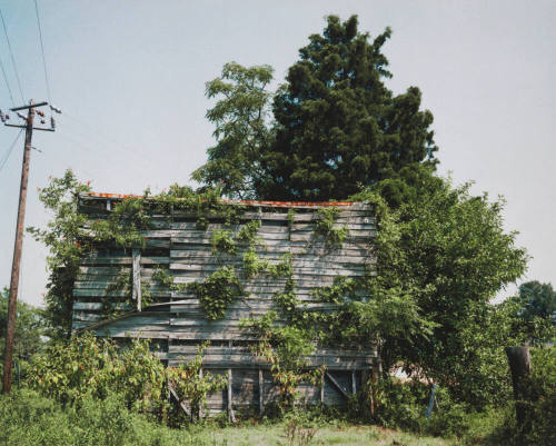 South End of Palmist Building, Havana Junction, Alabama