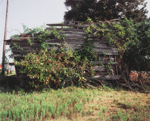 South End of Palmist Building, Havana Junction, Alabama