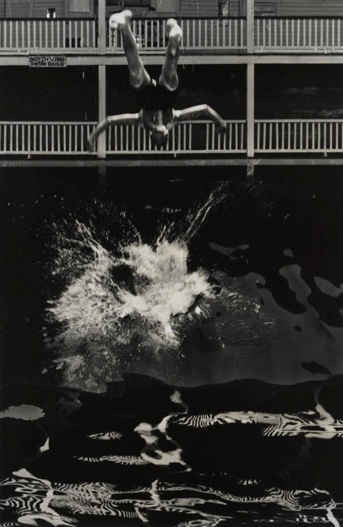 The Dive