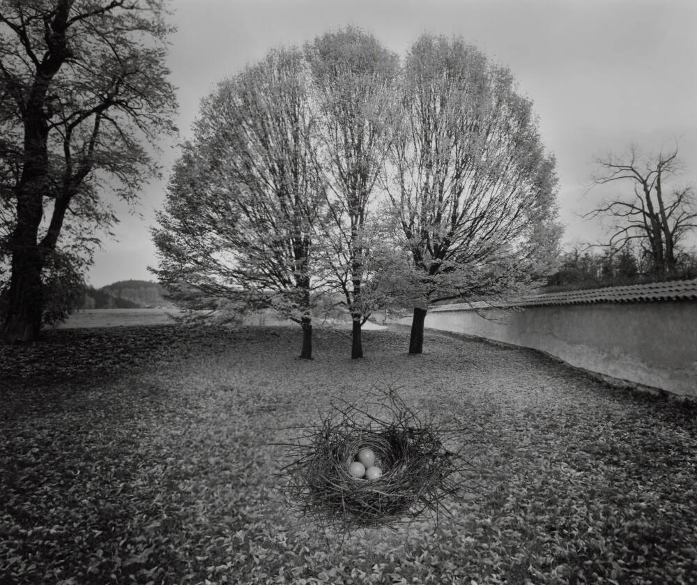 Untitled