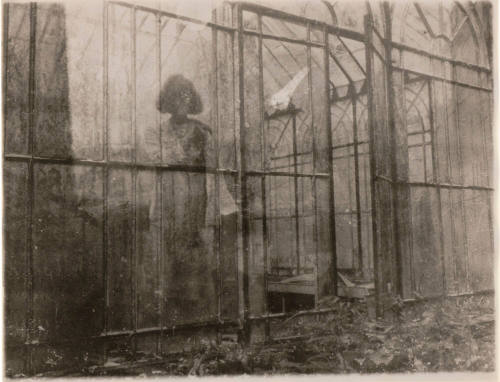 Glass House