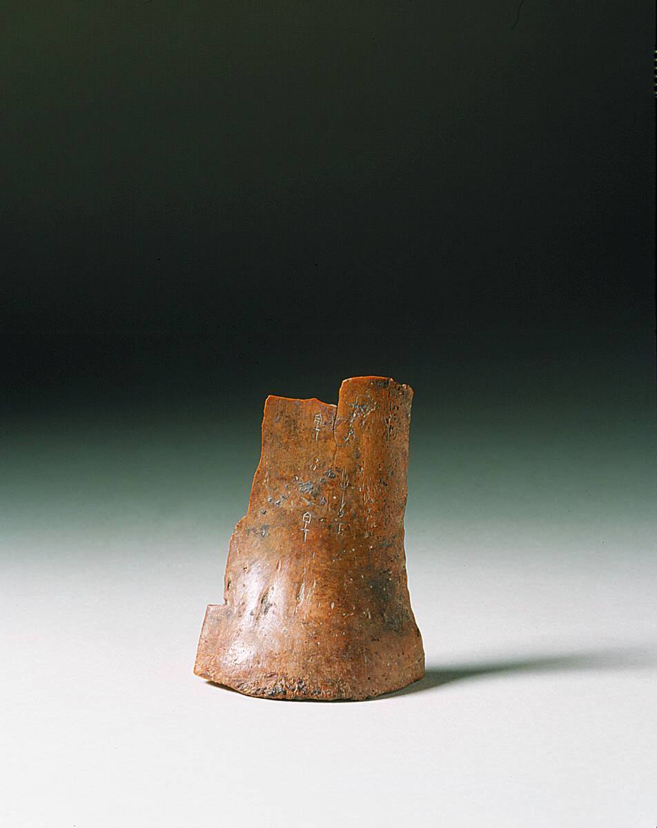 Oracle Bone