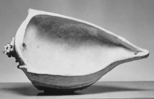 Vessel in the Form of a Conch Shell