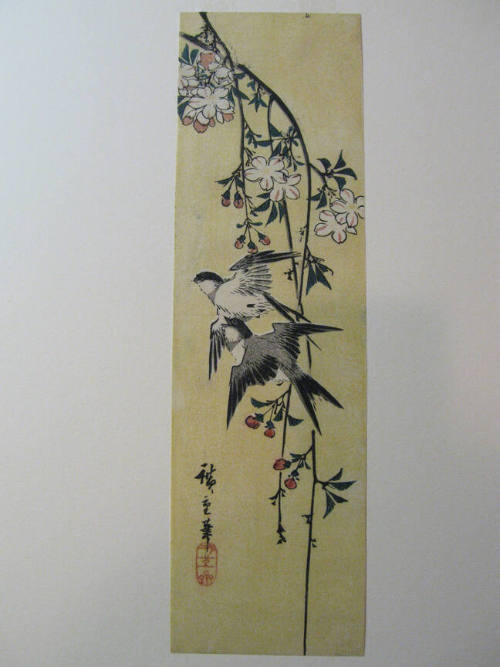 Two Swallows Flying under a Weeping Cherry Tree