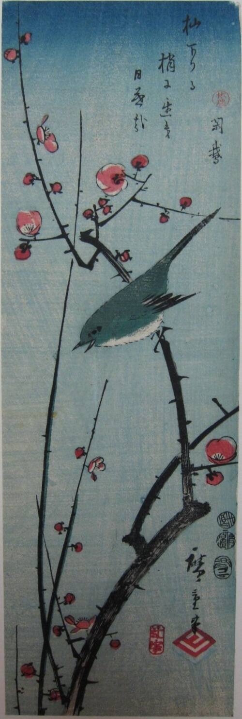 A Bush Warbler Perched on a Blossoming Plum Branch