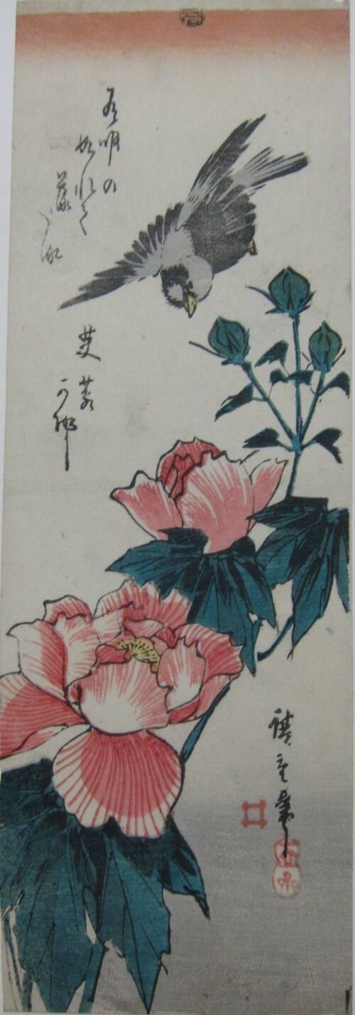A Sparrow Flying Above Peonies