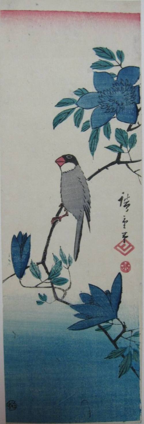 A Rice Bird Perched on an Azalea Branch