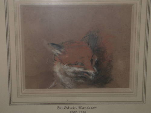 Fox (Angry)