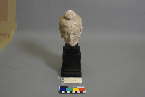 Head of Buddha
