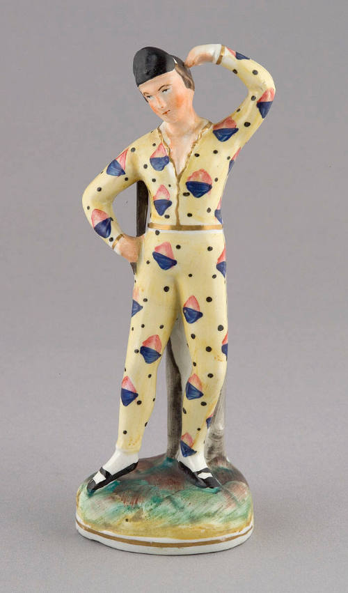 Harlequin on Tree Stump