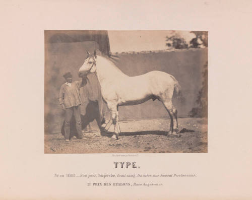 Type