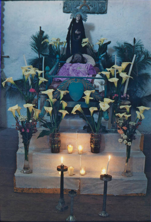 Teojasca