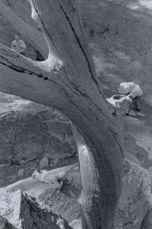 "Environmental Portraiture" Adams Students, Church Bowl, Yosemite