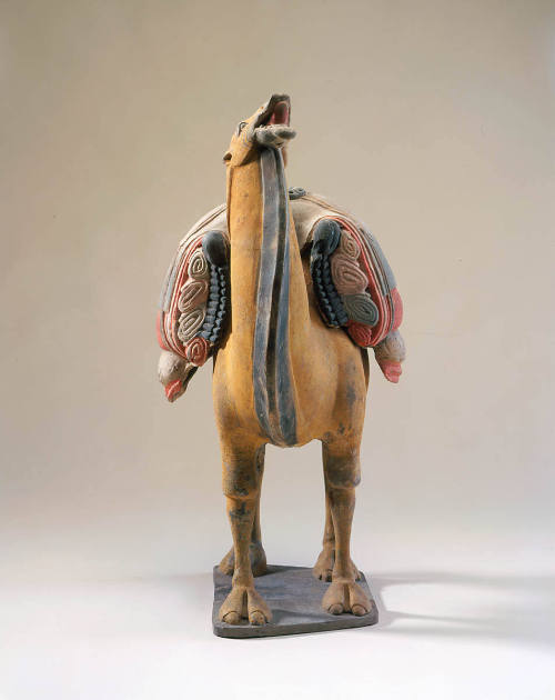 Loaded Bactrian Camel