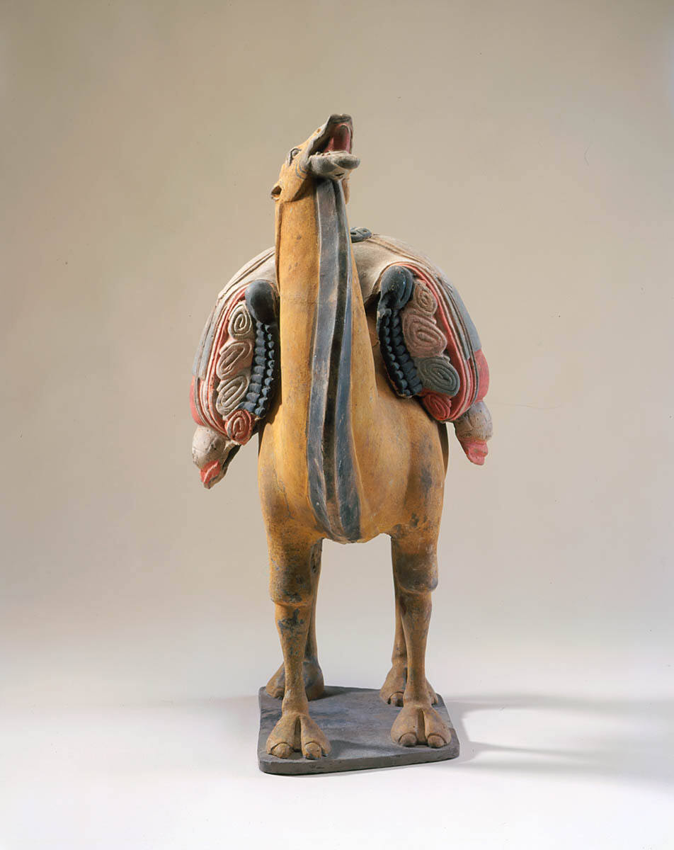Loaded Bactrian Camel