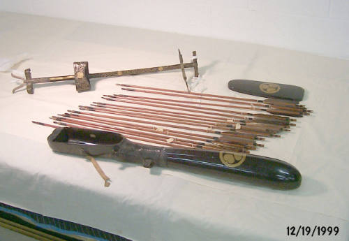 Arrow and Bow Case with 16 arrows