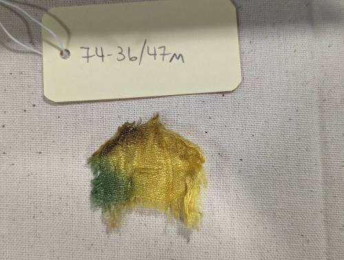 Cloth fragment