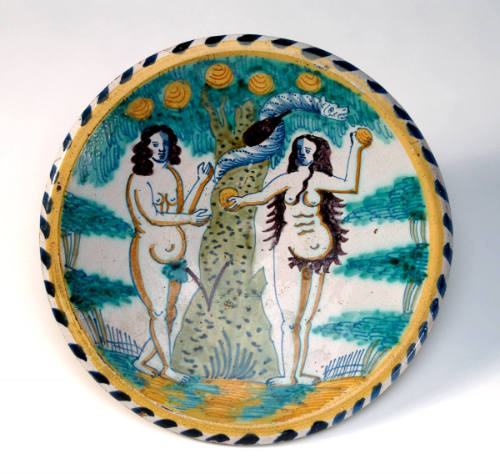 Dish