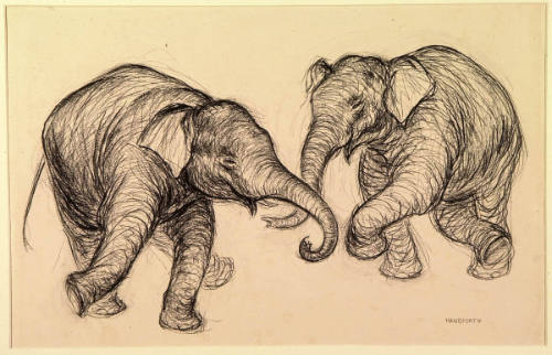 Pair of Elephants in Dance