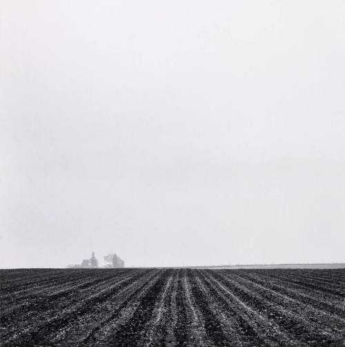 image overall