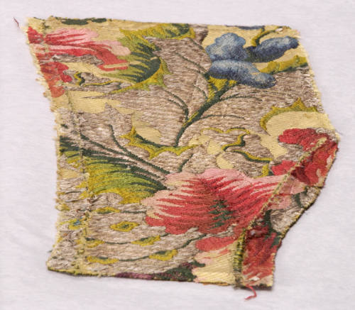 Fragment