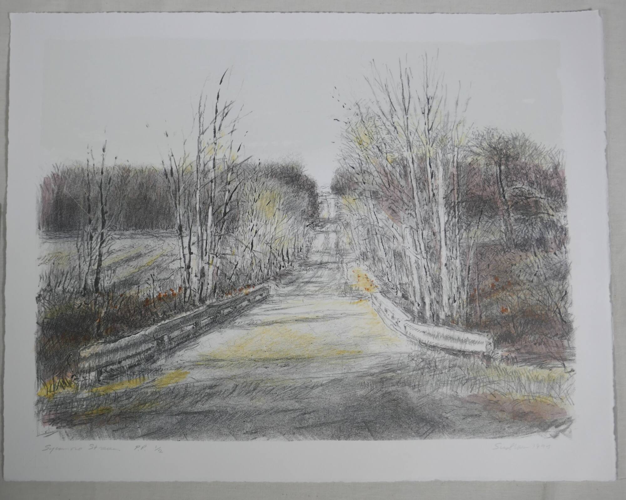 Sycamore Stream