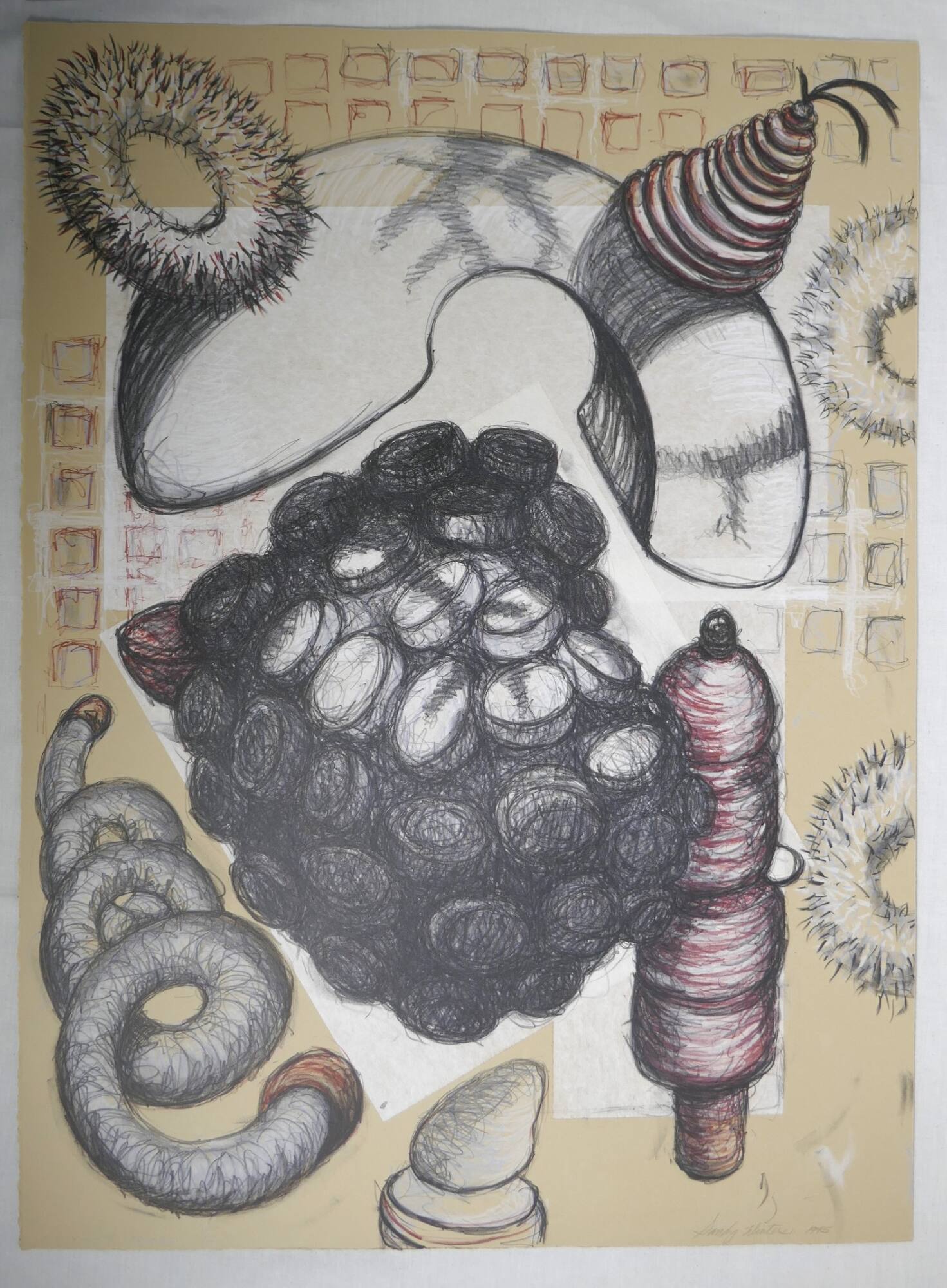 Corpus Callosum