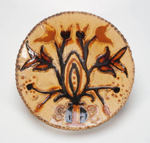 Dish