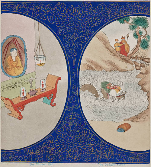 image overall