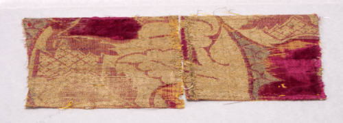 Fragment